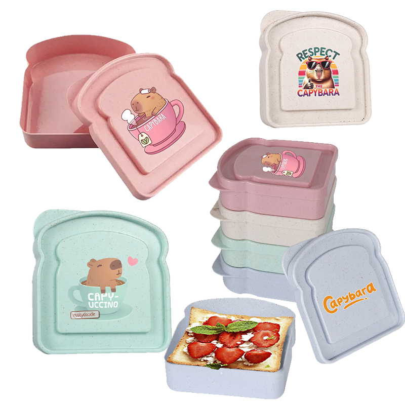 Food Storage Plastic Boxes - Capivara sanduíche caixa de armazenamento de
