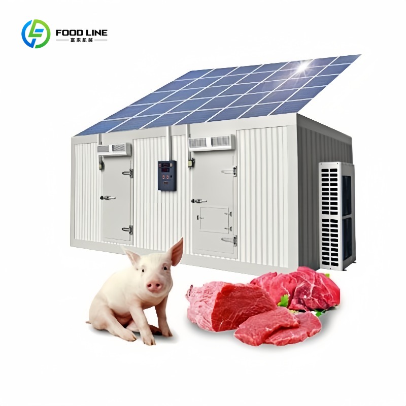 Food Storage Room - Contêiner Congelador Solar Comercial de 20