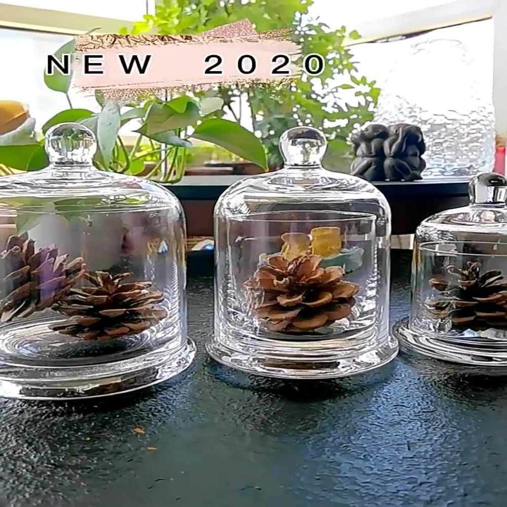 Pote de Vidro para Armazenamen - Food Storage Of Plants avaliação e preço