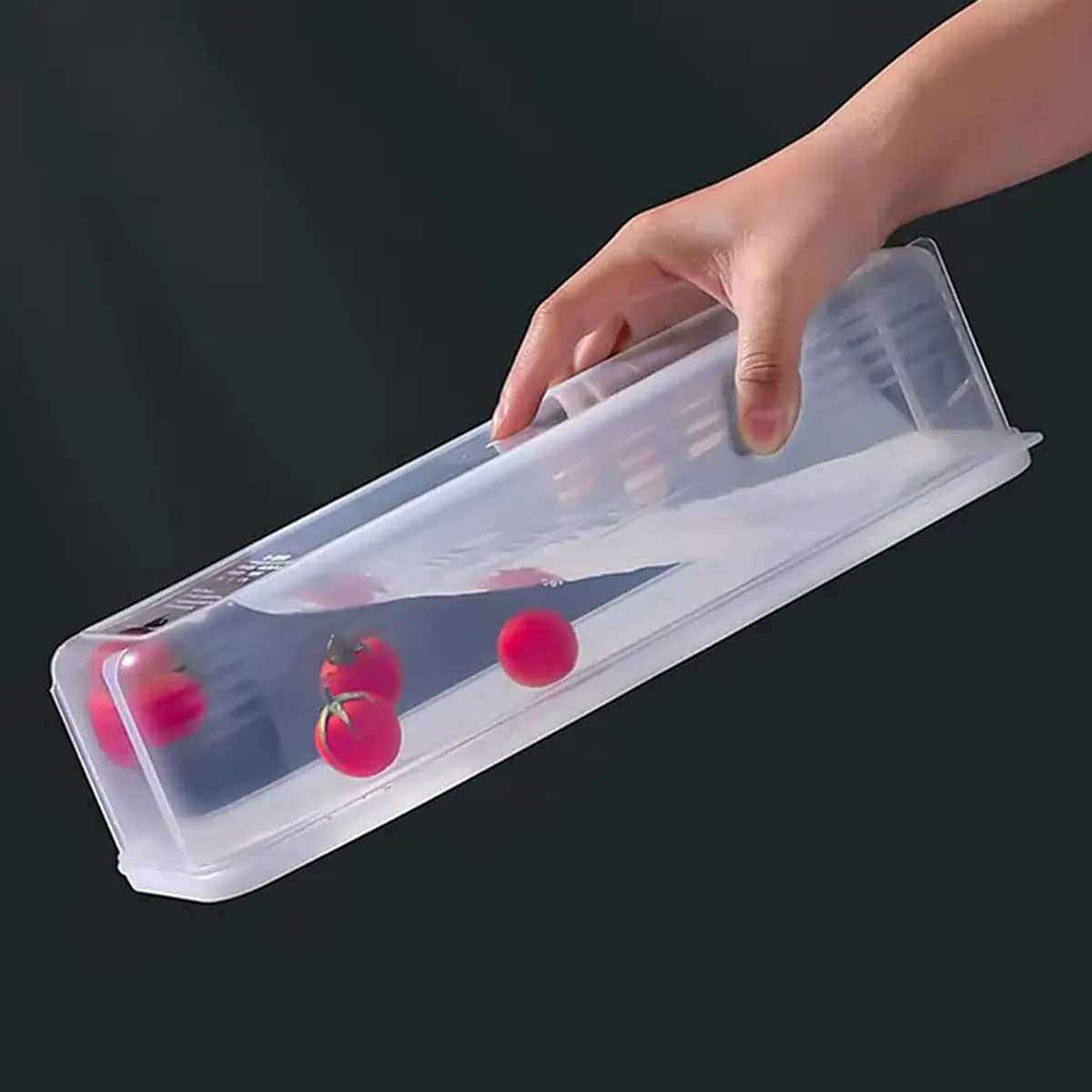 1 Caixa de Armazenamento Plást - Food Storage Plastic Boxes avaliação e preço